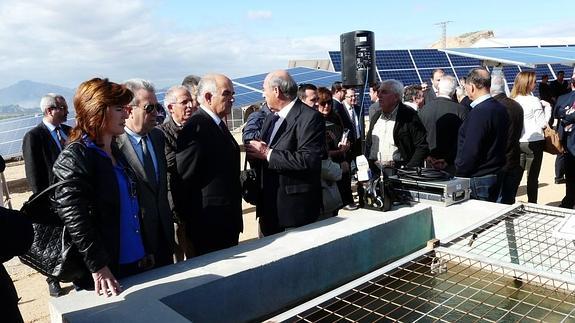 Adoración Molina, Antonio Cerdá, Alberto Garre y Julio Zapata, en la inauguración de la planta fotovoltaica. 