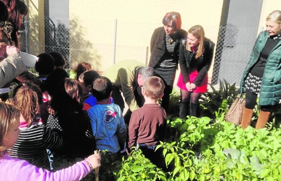 Alumnos en el el huerto escolar ecológico. 