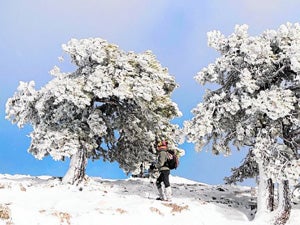 La cumbre de Los Obispos, nevada.