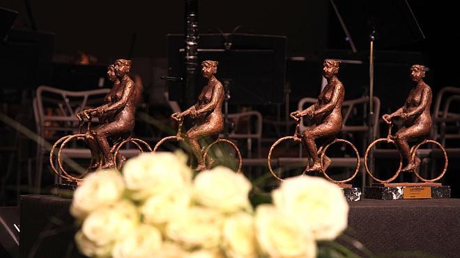 Premio a la ejemplaridad