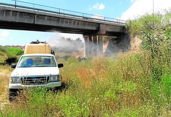 Un coche realizando los trabajos contra moscas y mosquitos. 