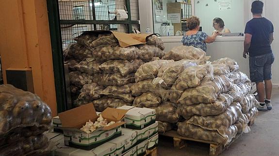 Sacos de patatas apilados en Mercamurcia. 