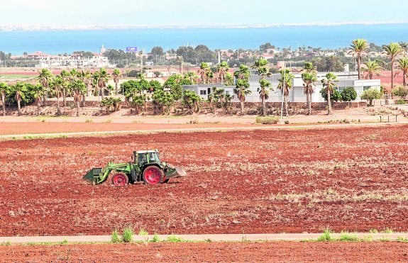 Un tractor, ayer entre la oficina de ventas de Novo Carthago y la autovía. 