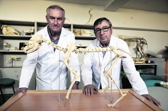 Francisco Gil y José María Vázquez. :: Nacho García / AGM