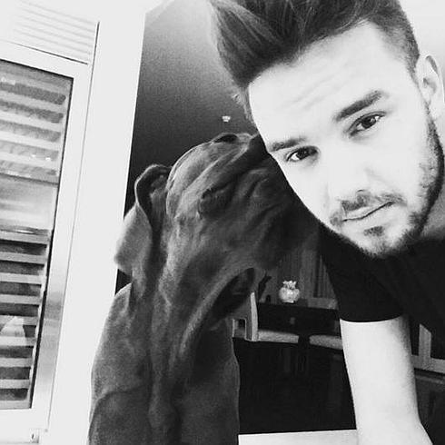 Liam Payne, de One Direction, con su perro.