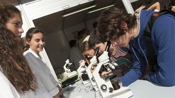 Varios jóvenes utilizan los microscopios instalados en el Malecón por la Semana de la Ciencia y la Tecnología. 