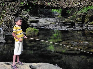 Un espectáculo de ingeniería natural  e ingenio humano  que se dan la mano
