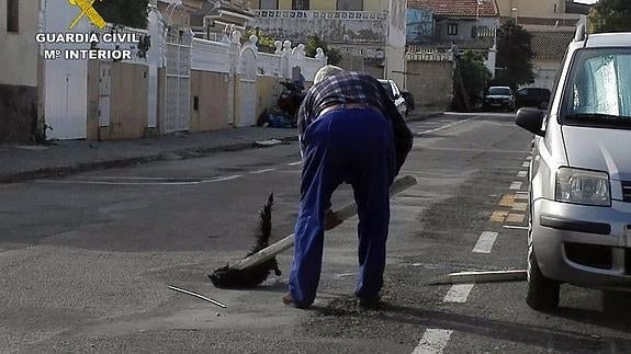 Fotografía facilitada por la Guardia Civil en la que se muestra al arrestado golpeando al animal.