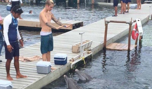 Justin Bieber con los delfines.