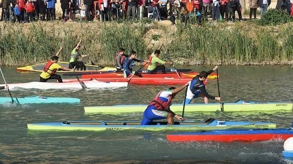 Participantes de la Regata Ciudad de Murcia, este sábado, en el río Segura.