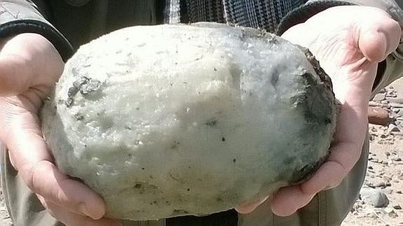 Una pareja se encuentra un trozo de vómito de ballena y lo vende por 63.000 euros