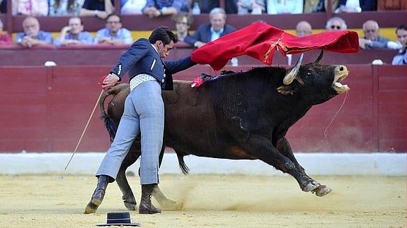 El Fandi, este domingo, en La Condomina. 