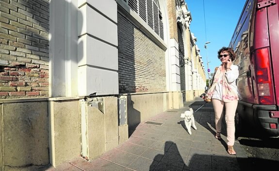 Una mujer, con su perro, junto a la pared desconchada. 