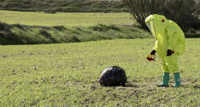 Esfera hallada en Mula. 