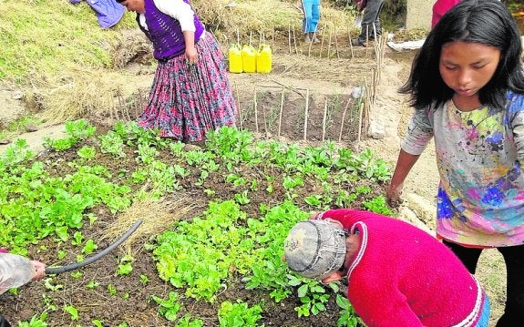 Uno de los huertos ecológicos promovidos por Murcia Pro Mundo.