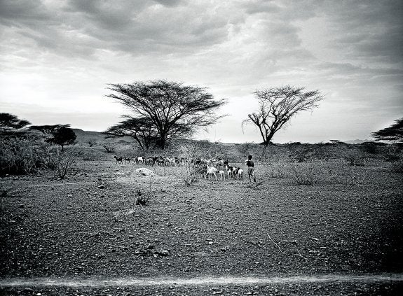 Una familia unida. Un pastor conduce el rebaño de cabras hacia la aldea. Allí le esperan el resto del clan, hombres y mujeres ataviados con el ropaje y las joyas tradicionales.