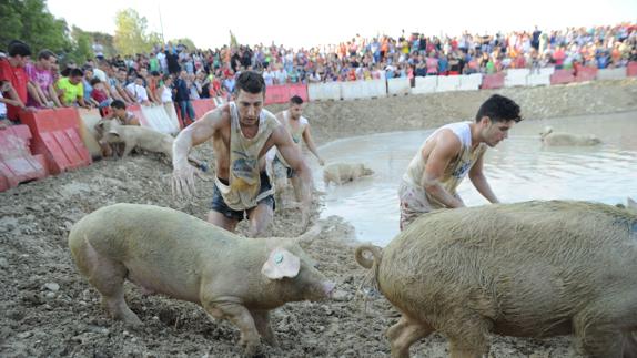 Dos participantes en una edición anterior de 'los marranos al barro'. 