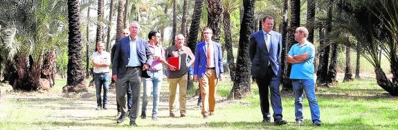 El alcalde de Murcia, José Ballesta, con los ediles Navarro y Guillén y los técnicos de Parques y Jardines, ayer en su visita al Palmeral de Santiago y Zaraíche.