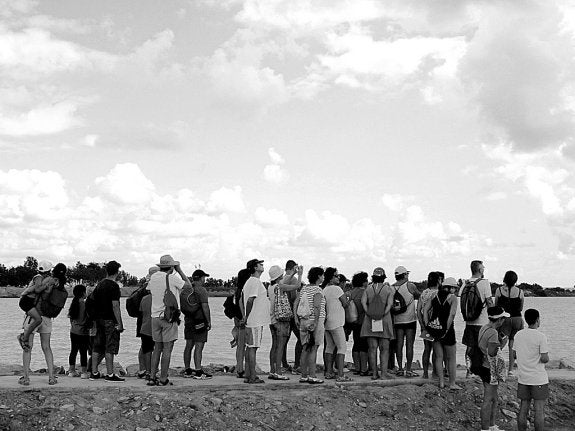 Participantes en una ruta guiada para la observación de aves en el Parque Regional Salinas y Arenales de San Pedro del Pinatar.