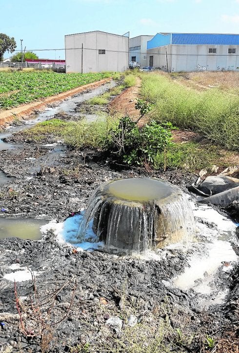 Atranque de toallitas junto a la carretera del aeropuerto. 