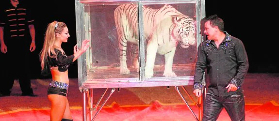 Espectáculo circense en el que intervienen un tigre y dos domadores.