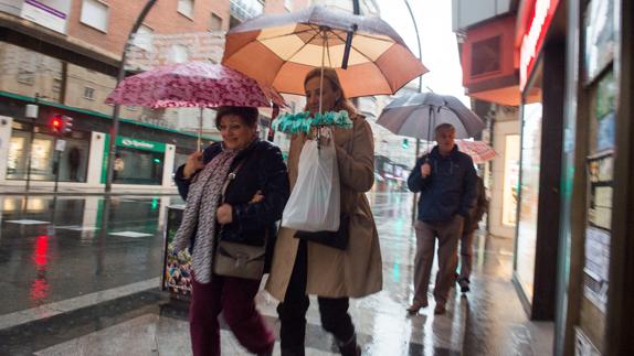 Los paraguas han salido a pasear durante la jornada del domingo por el centro de Murcia.