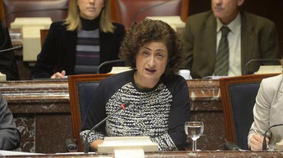 La consejera de Presidencia, este miércoles, presentando la asignación de su área. 