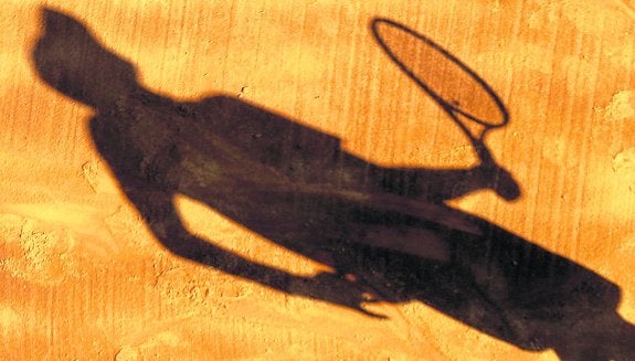 La sombra de la estafa en el tenis