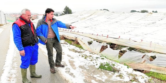 Salvador de Maya y Juan Maravillas Ortega, de la cooperativa Canaraflor, evaluando ayer el estado de un invernadero aplastado por la nieve en Canara.