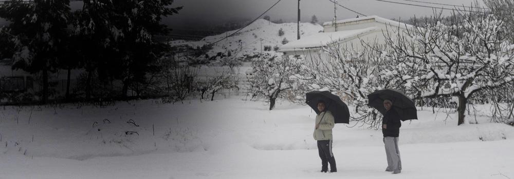 Aspecto de los campos en El Calar de la Santa.