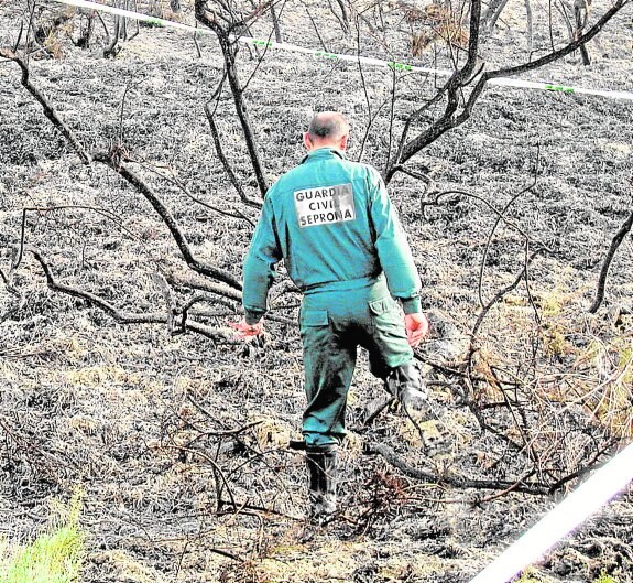 Un agente del Seprona de la Guardia Civil rastrea una zona quemada en un incendio para tratar de encontrar el origen y las causas del fuego.