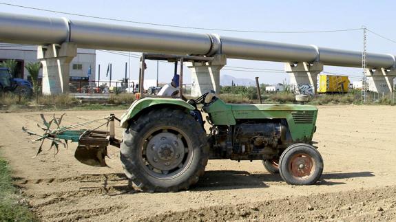 Un agricultor se dispone a arar una parcela, en Beniel.