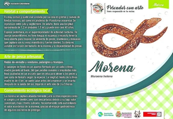 Ficha de la morena, pescado de marzo, de 'Pescados con arte'.