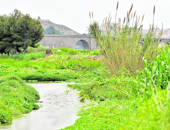 El río Argos, con Cehegín al fondo, y el puente por el que discurría el tren y que hoy es la Vía Verde del Noroeste.
