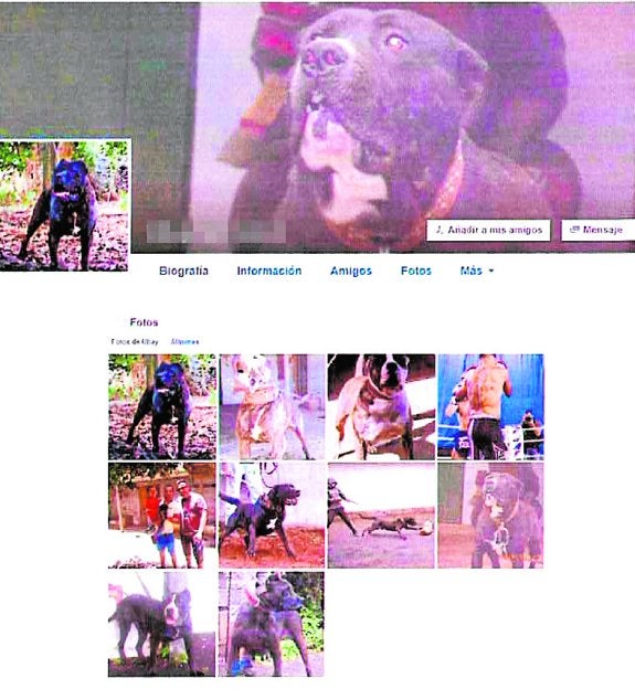 Página de Facebook de uno de los líderes de la organización dedicada a las peleas de perros detenidos el pasado marzo. 