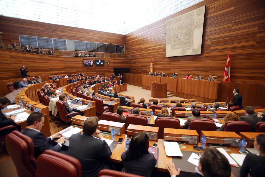 Pleno en las Cortes de Castilla y León