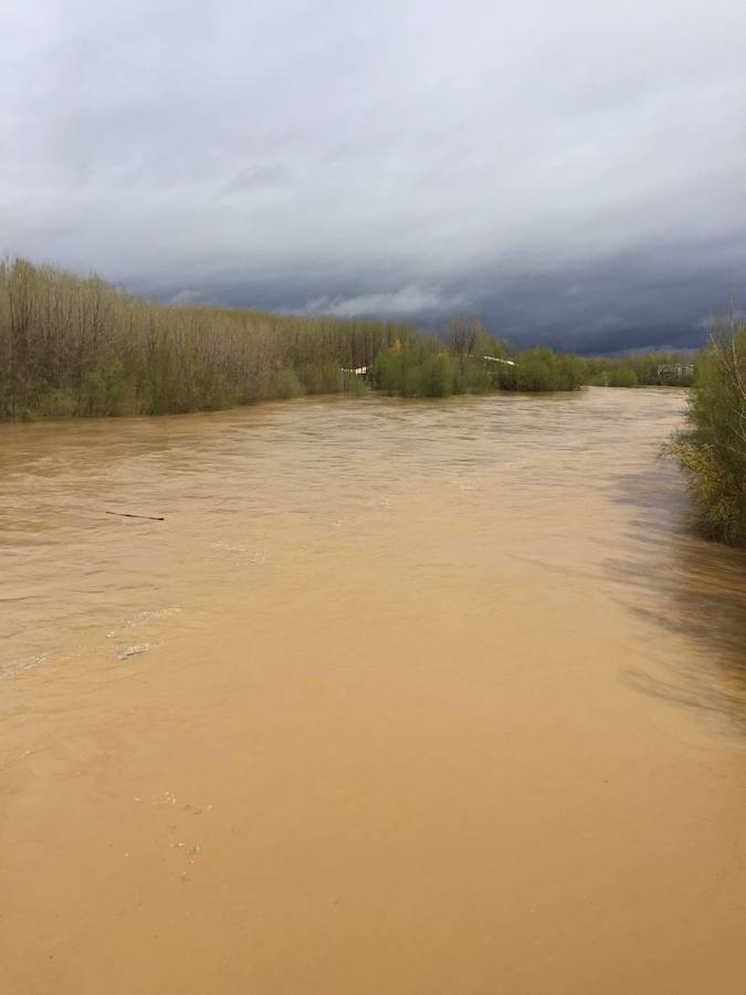 Así están los ríos leoneses