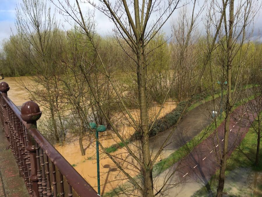 Así están los ríos leoneses