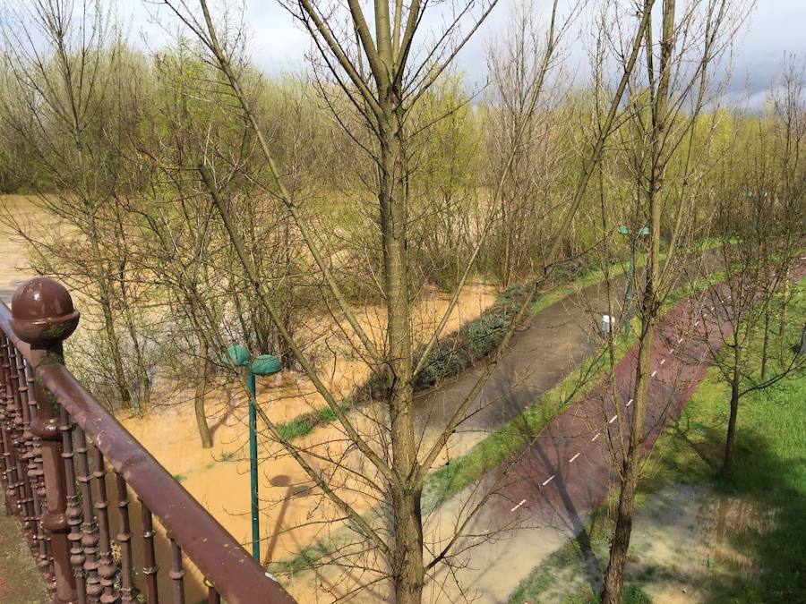 Así están los ríos leoneses