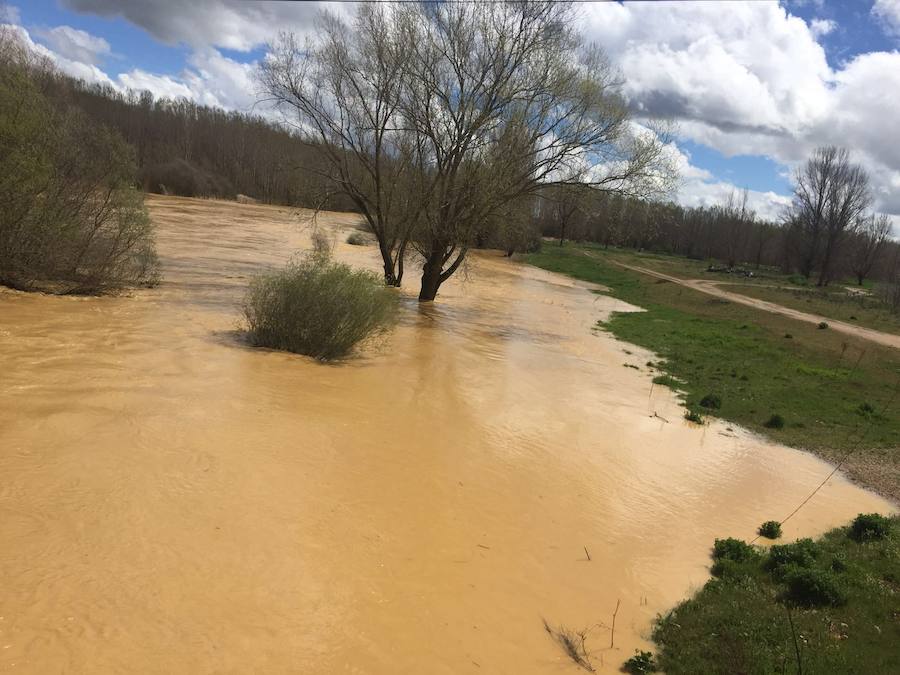 Así están los ríos leoneses