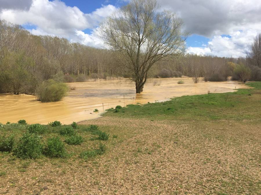 Así están los ríos leoneses