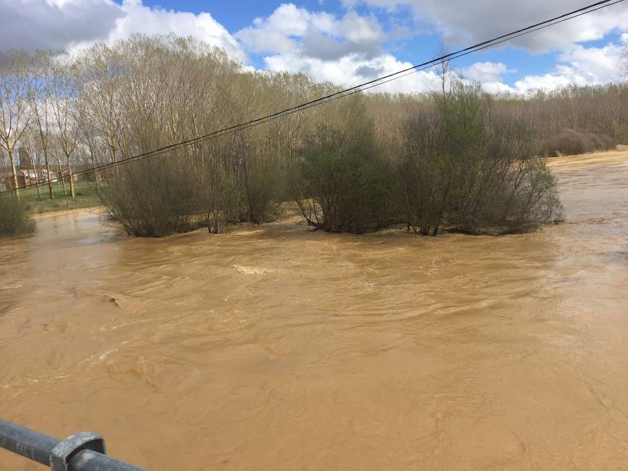 Así están los ríos leoneses