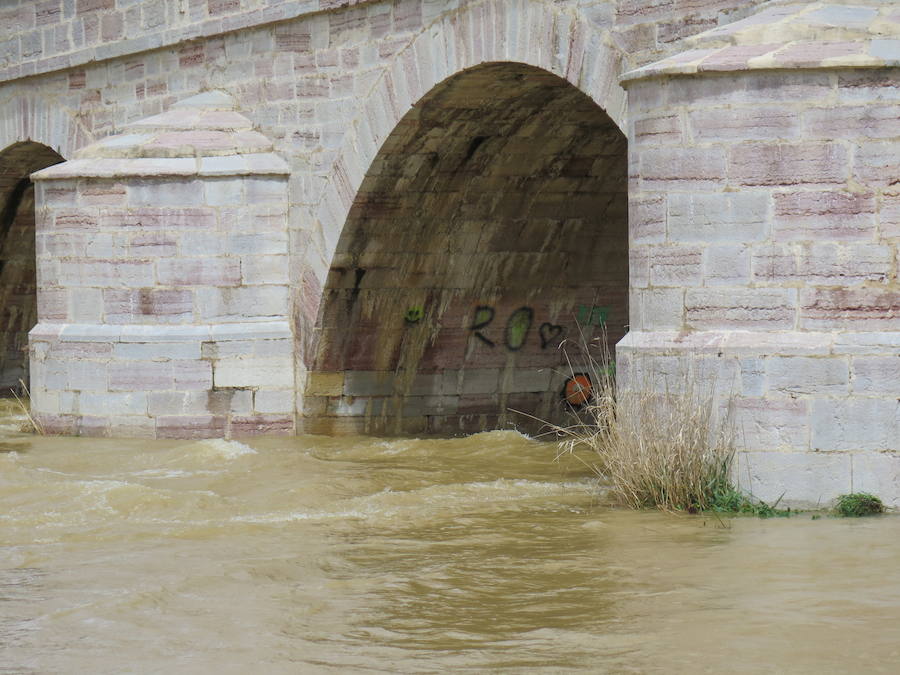 El Torío baja con abundante caudal