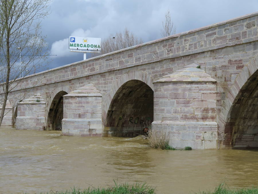 El Torío baja con abundante caudal