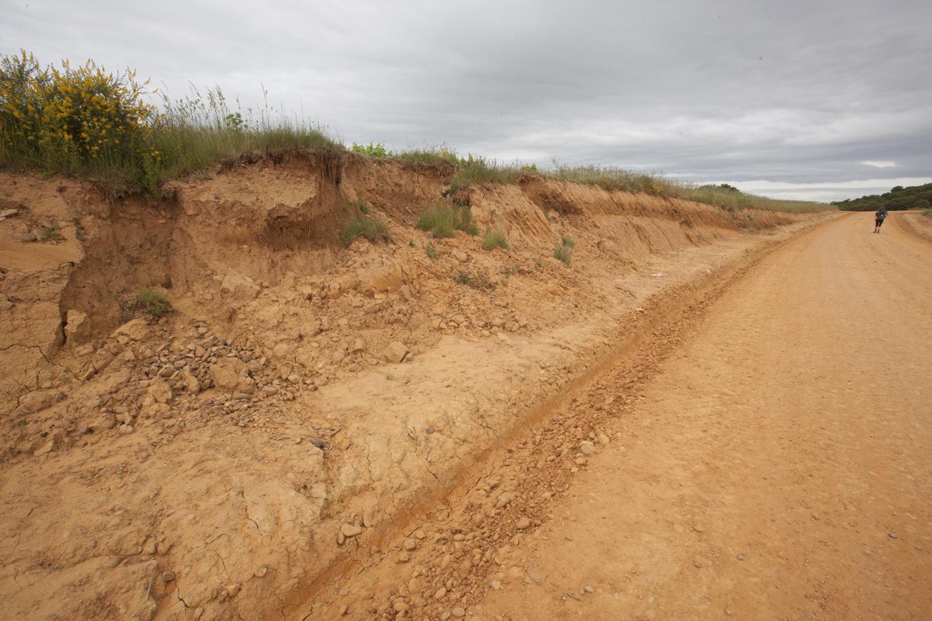 Las heridas del Camino