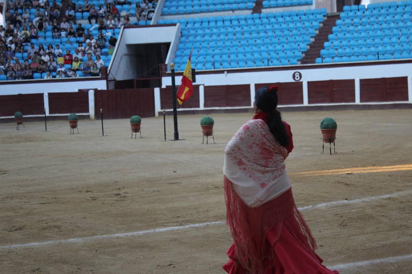 Los caballos y el flamenco