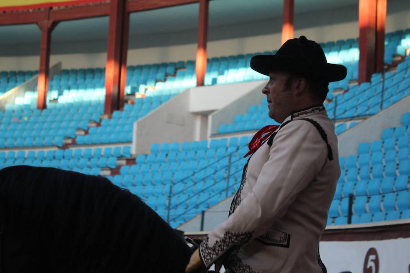 Los caballos y el flamenco