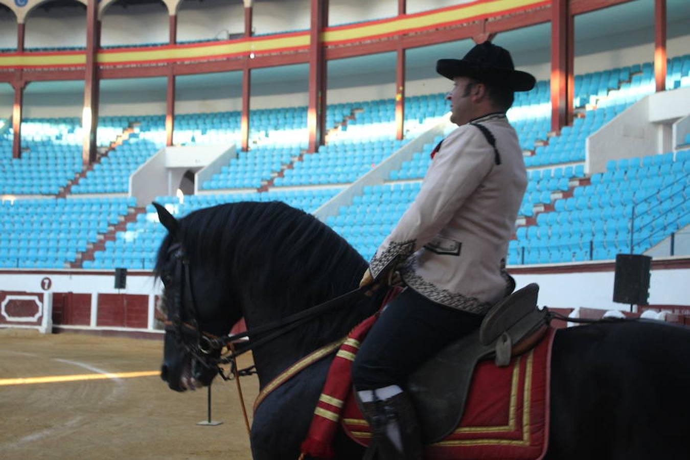 Los caballos y el flamenco