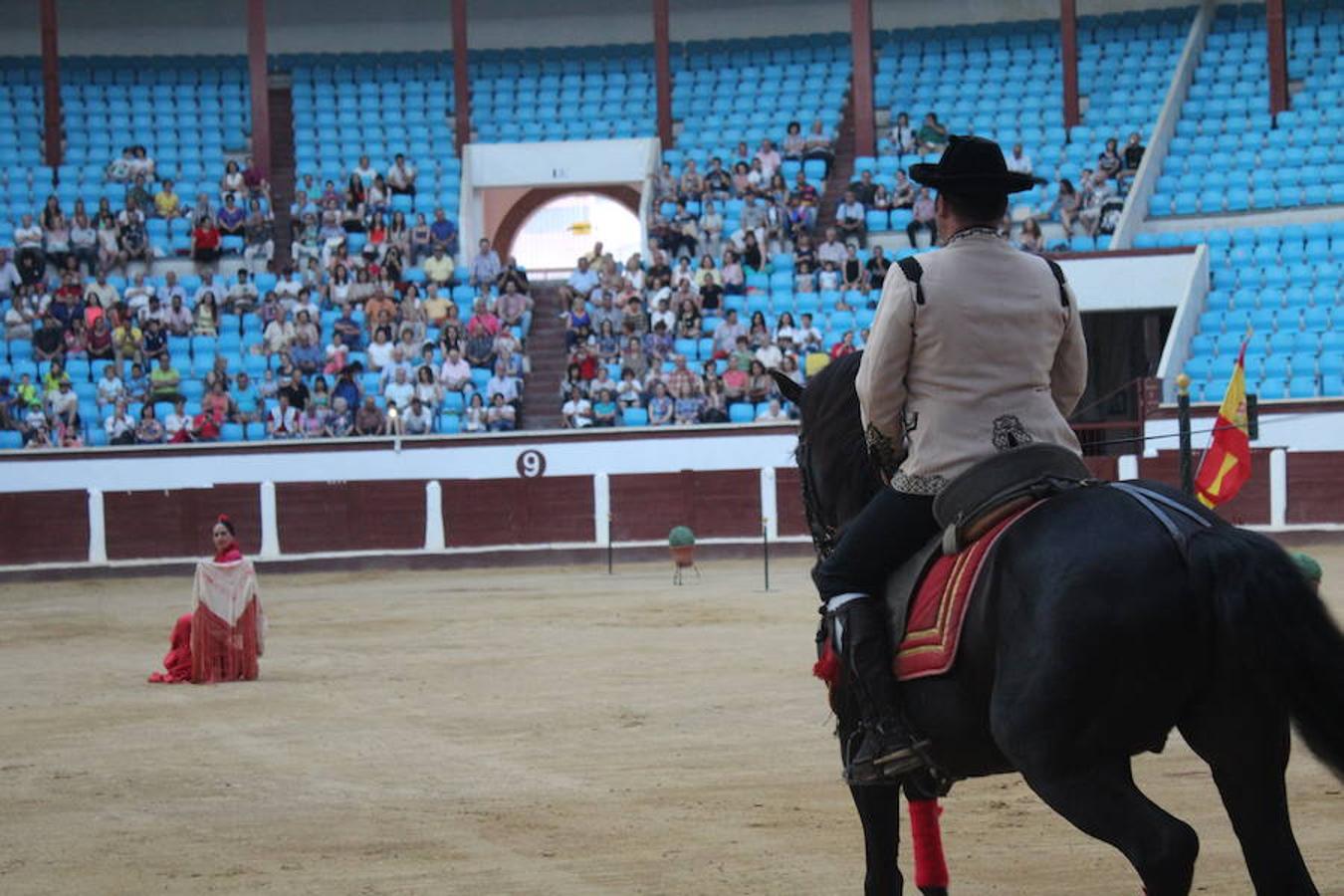 Los caballos y el flamenco