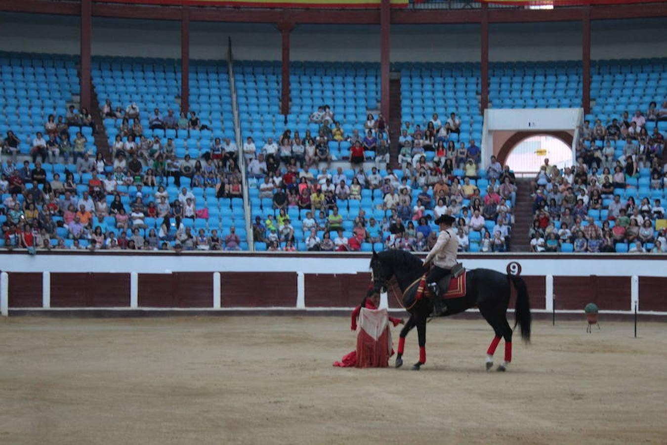 Los caballos y el flamenco